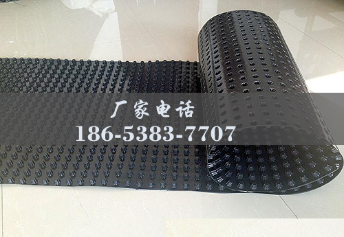 排水板廠(chǎng)家http://www.ynzsxk.com/