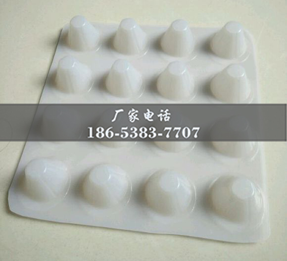 排水板廠(chǎng)家http://www.ynzsxk.com/